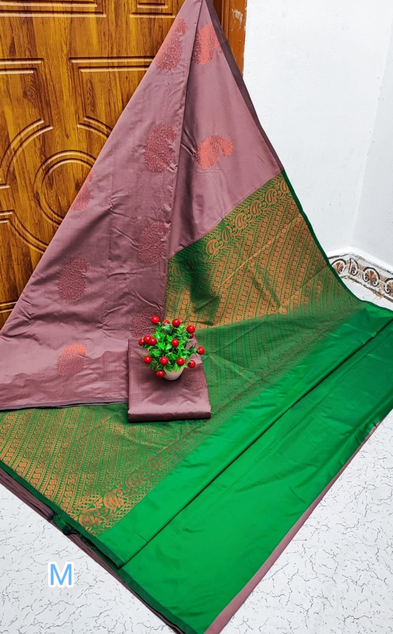 Borderless soft silk pattu saree