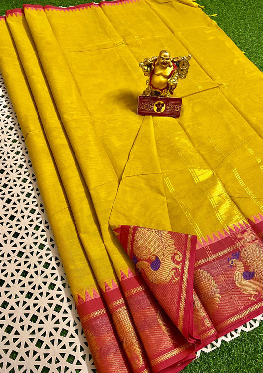 Peacock Border Kanchi Cotton Saree with Temple Border