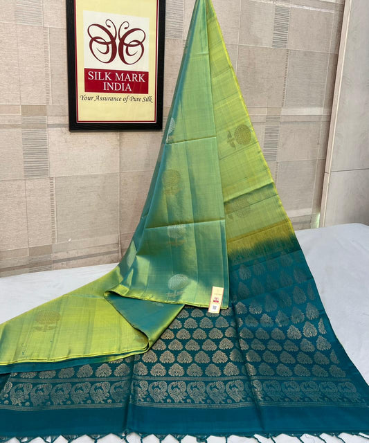 Border less kanchipuram soft silk saree - Mint green - silk mark certified - wedding saree for women in uk