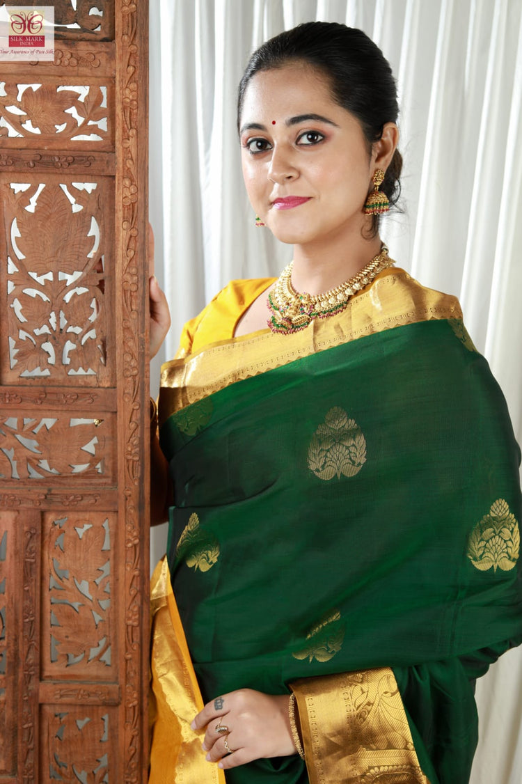 Pure silk sarees / pure pattu sarees