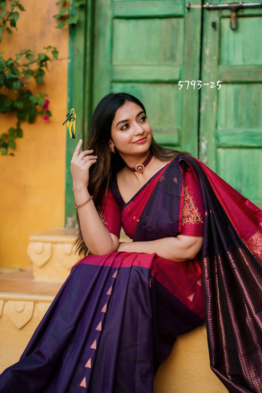 Kanchi soft silk saree - borderless