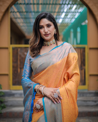 Soft silk banarasi kind fancy saree