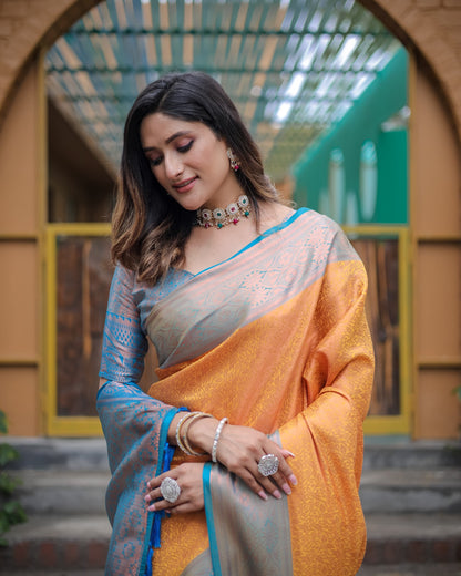 Soft silk banarasi kind fancy saree