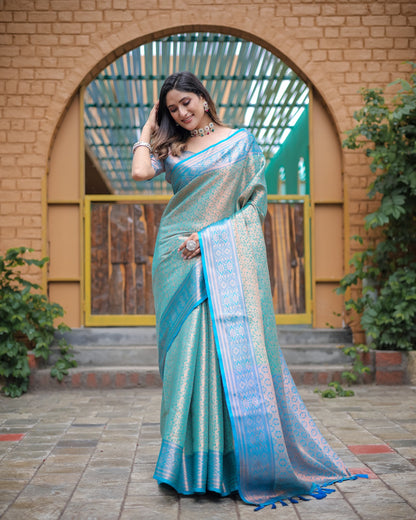 Soft silk banarasi kind fancy saree