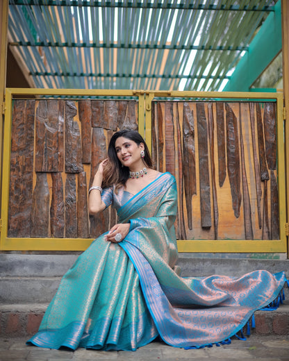 Soft silk banarasi kind fancy saree