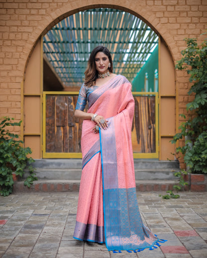 Soft silk banarasi kind fancy saree