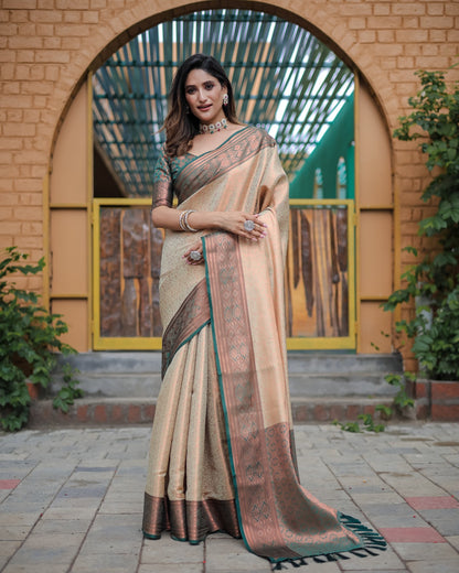 Soft silk banarasi kind fancy saree
