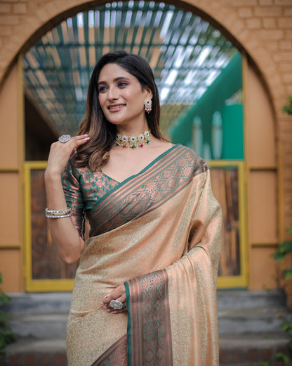 Soft silk banarasi kind fancy saree