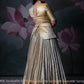 Golden banarasi pattu gown